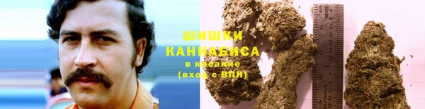 шишки Алексин